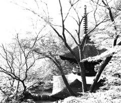 そうだ！京都へ行こう（３）