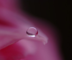 想・雫（９）