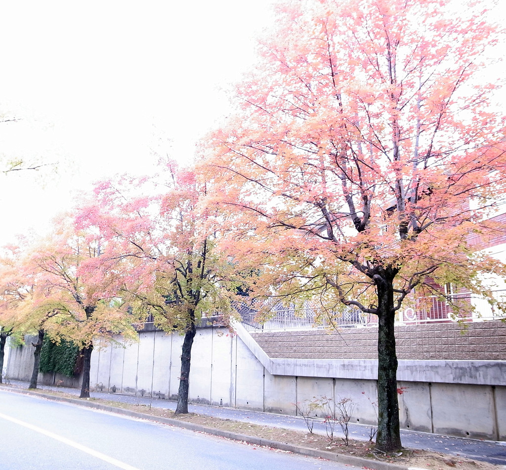 三色彩道にて