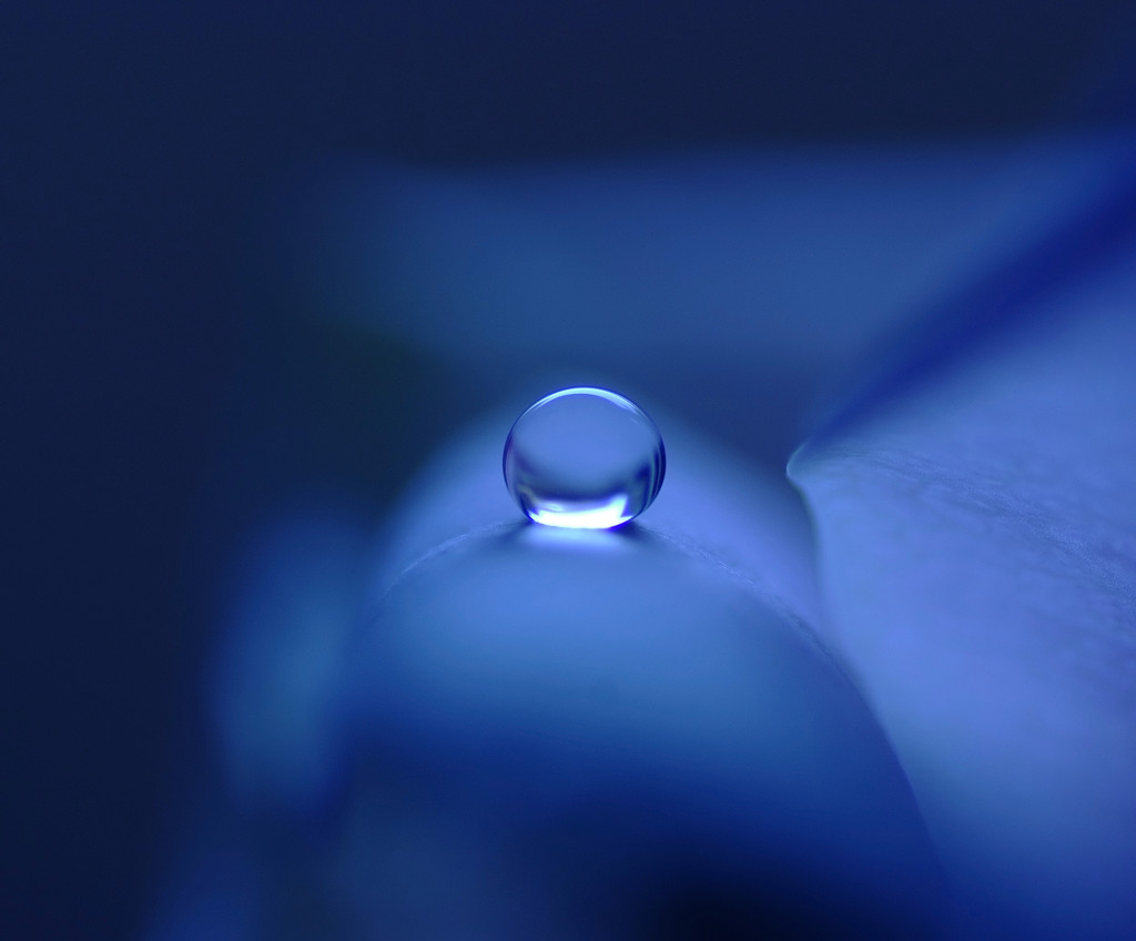 蒼の世界・雫