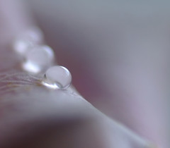 雫研究所通信　１０