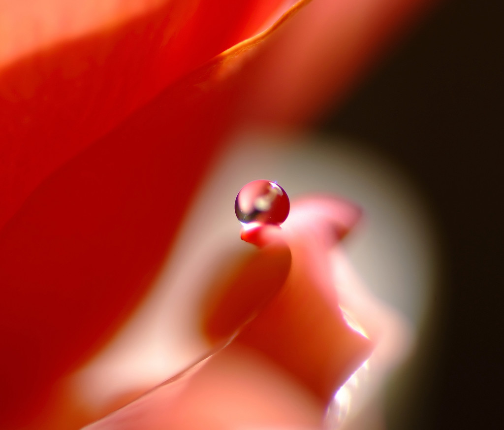 輝き・雫