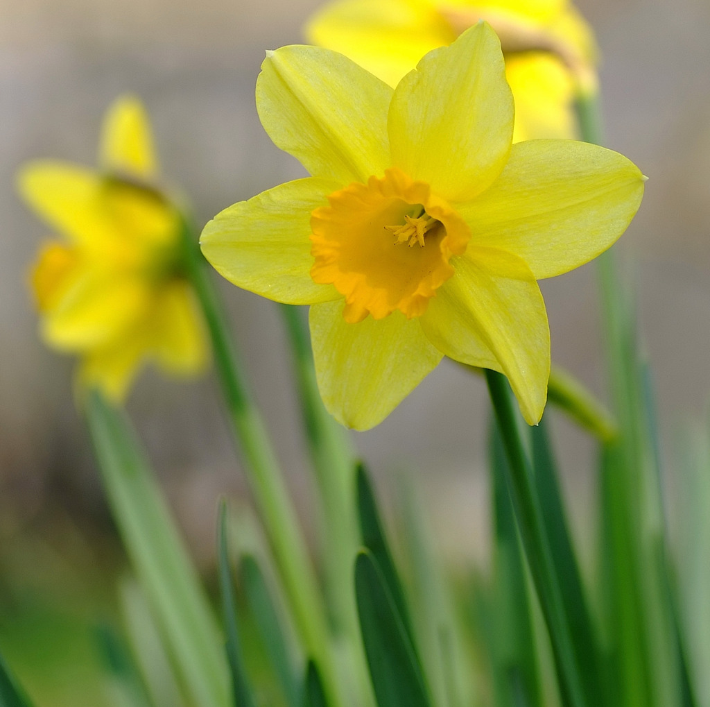 あなたを待つ。。