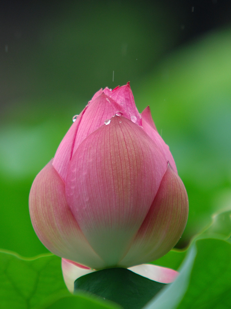 雨の一日。。１