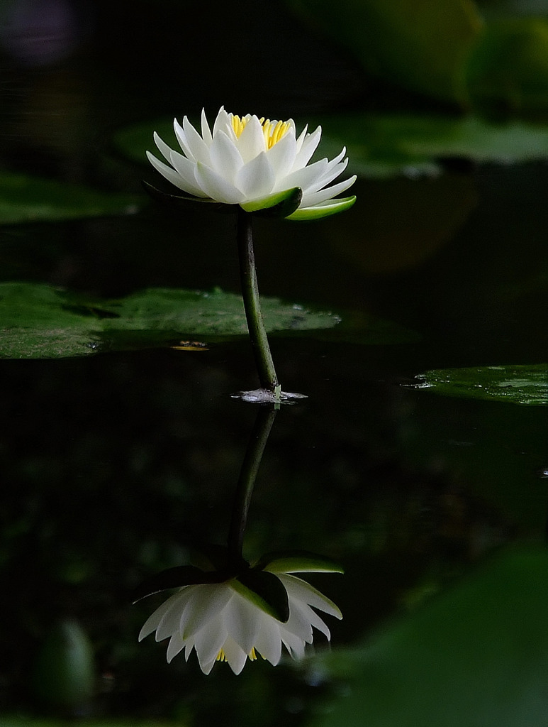 幸せな時間。