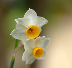 ひっそりと。。