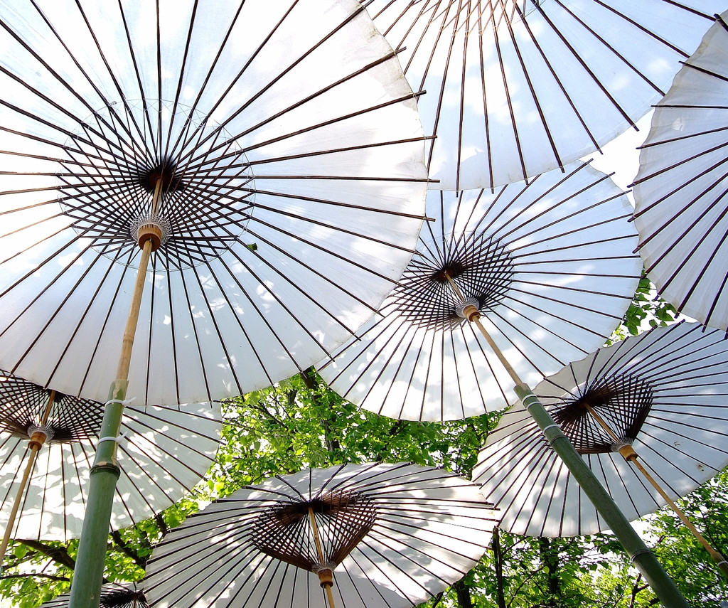 白のガーデン。。