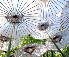 白のガーデン。。