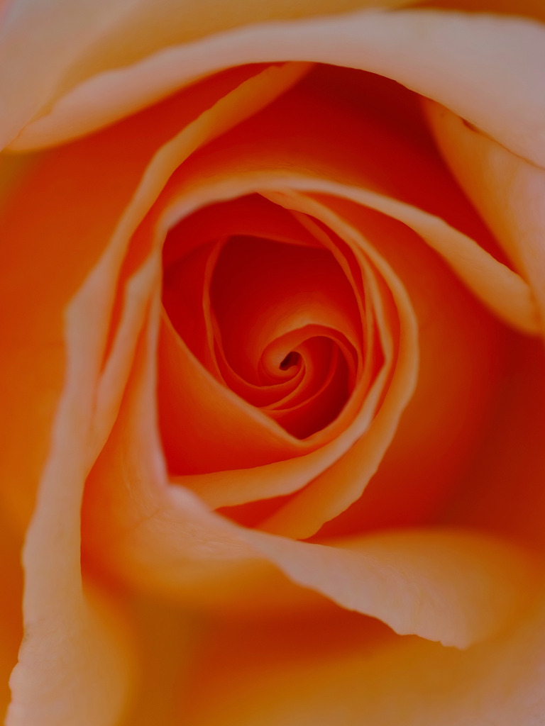 渦の世界へ　２