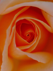 渦の世界へ　２