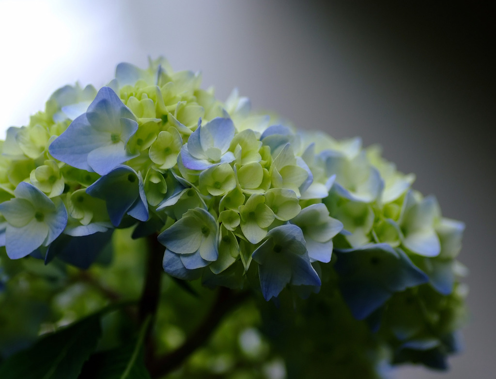 時をとめて、、