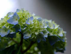 時をとめて、、