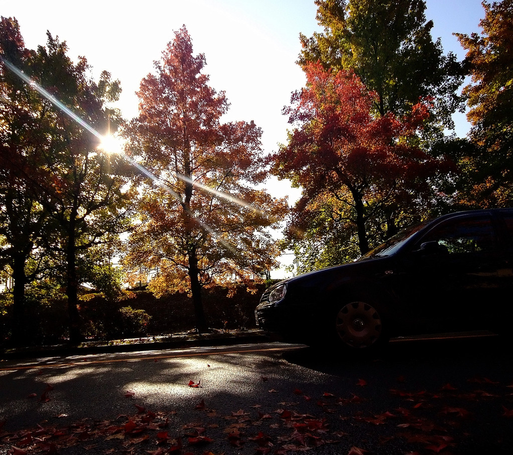 木漏れ日の中で　（１）