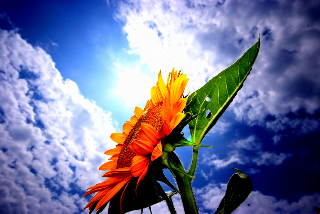 夏の思い出　（２）