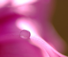 妖精・雫（６）