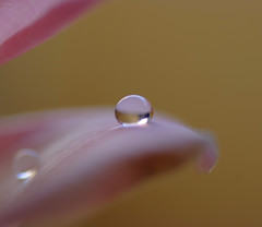 和・雫（２）