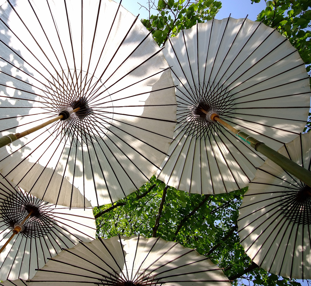 見上げれば、傘。。