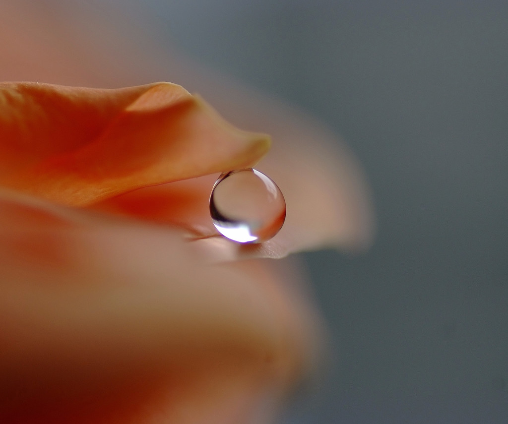 Ｔｅａｒｄｒｏｐ