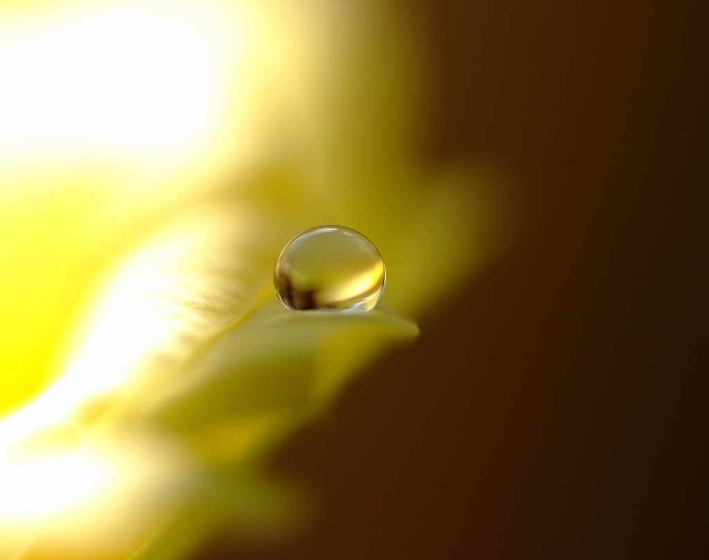 ひと雫・2014