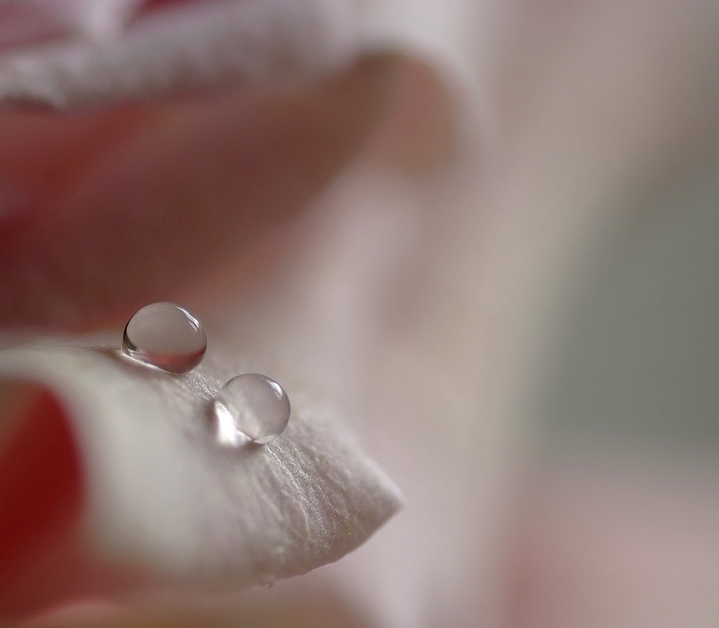 雫研究所通信　９