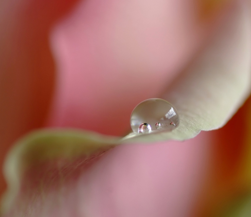 雫研究所通信　８