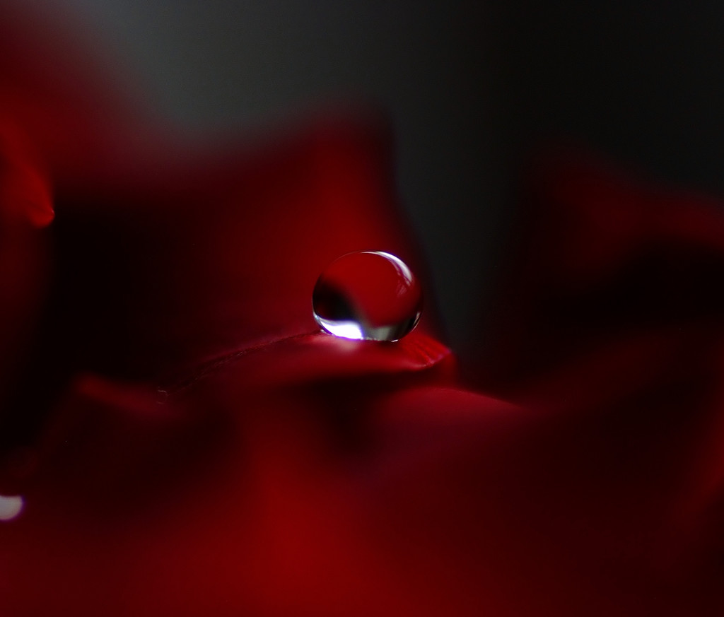 紅の雫