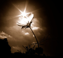 クロスステージへ　１