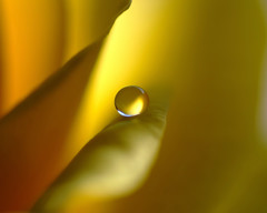 ありがとう・雫（３）