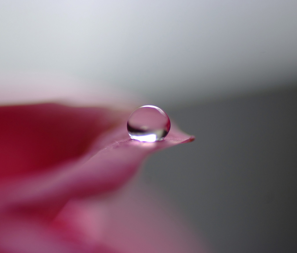 彩・雫（５）