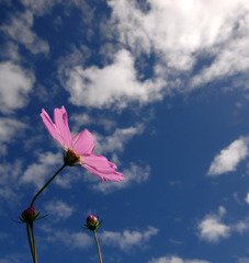 秋空との交信。。