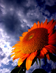 夏の思い出　（１）