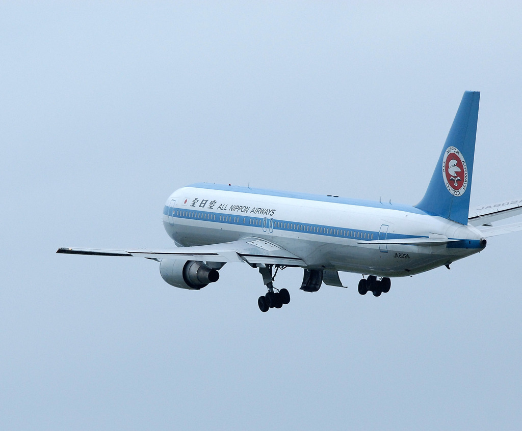 Blue Wing