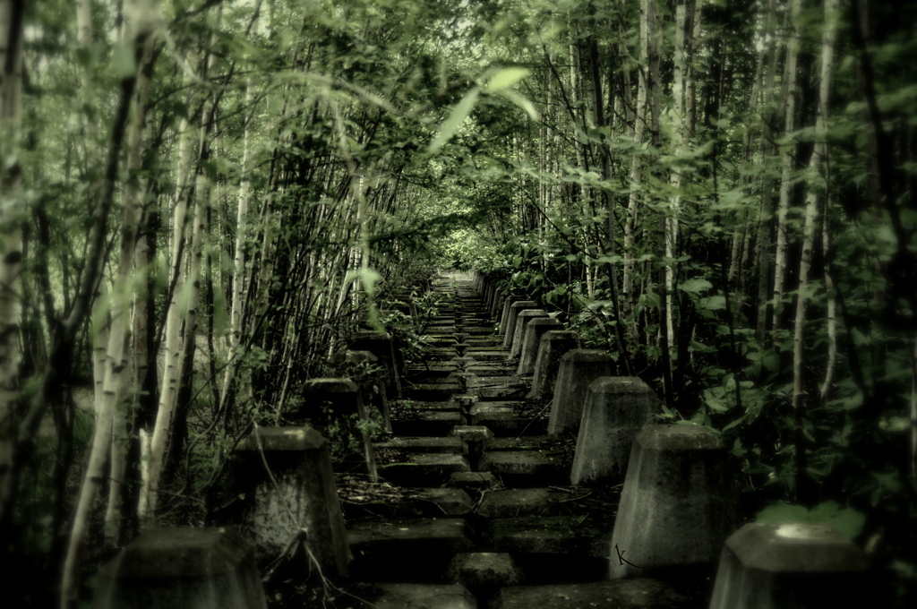 ~ケモノミチ
