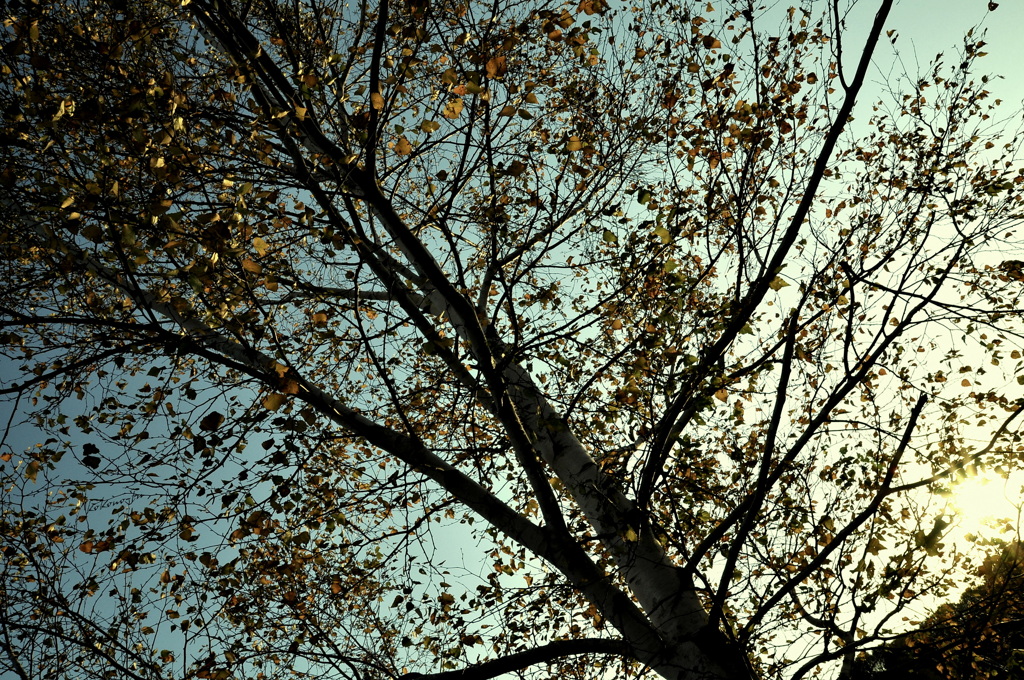 ~October