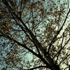 ~October