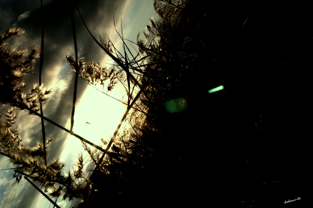 ~emerald
