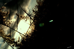 ~emerald