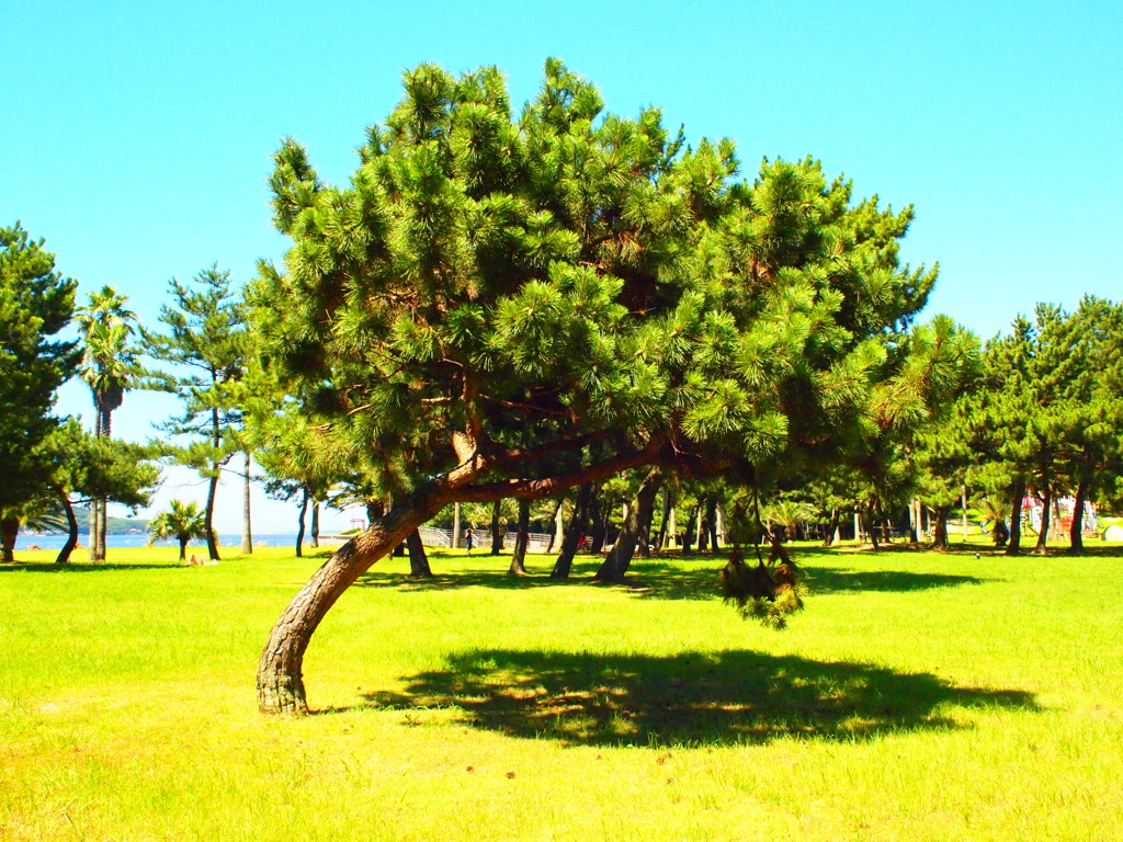 P7180141