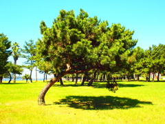P7180141