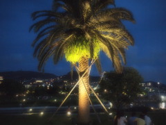 P7240203