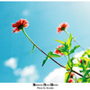 花3