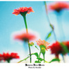 花2