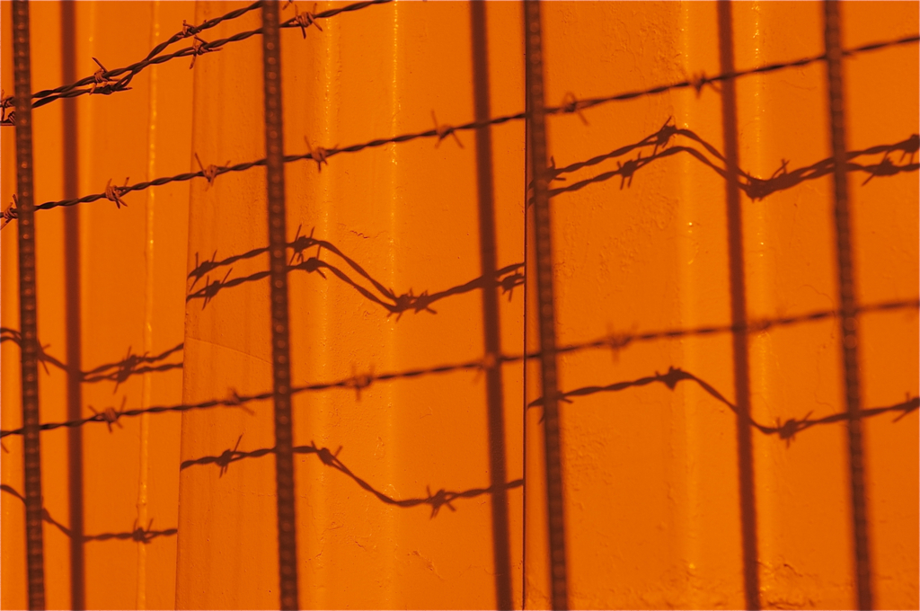 Orange Killer