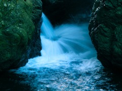 Natural Shower 2