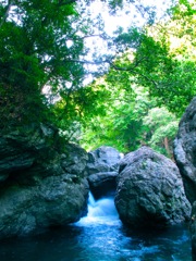 Natural Shower 1