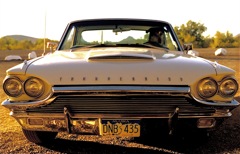 Thunderbird