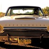 Thunderbird