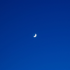 Blue Night One Moon