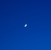 Blue Night One Moon