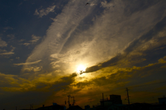 見上げた空